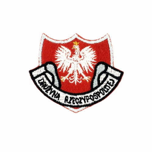 plakietka drużyna RP.JPG