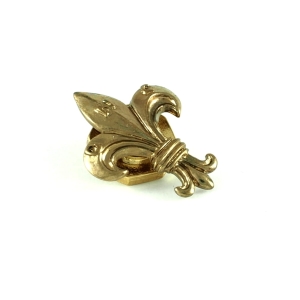 lilijka krakowska zlota nakrencana.JPG