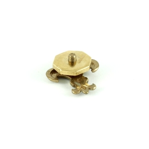 lilijka krakowska zlota nakrencana tyl.JPG