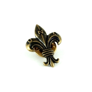 lilijka krakowska zlota oksydowana pin.JPG