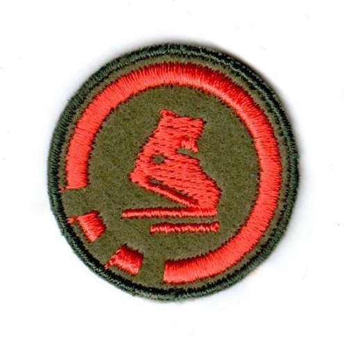 Sprawność Harcerzy ZHR ŁYŻWIARZ do kupienia w składnicy SiedemGór.jpeg