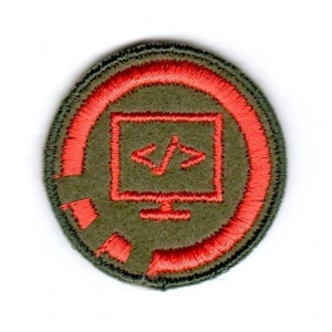 PROGRAMISTA [SPRAWNOŚĆ-M]