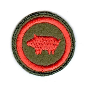 MISTRZ CHOWU [SPRAWNOŚĆ-M]