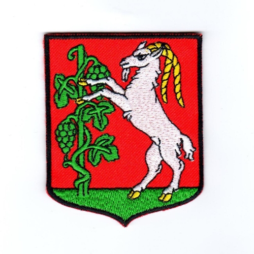 Plakietka herb LUBLINA do kupienia w skałdnicy harcerskiej ZHR SIEDEM GÓR.jpeg