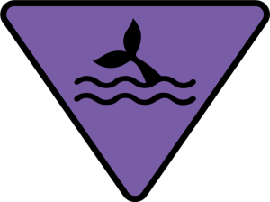 010505023.png