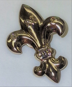 Lilijka ZHR srebrna (pin)