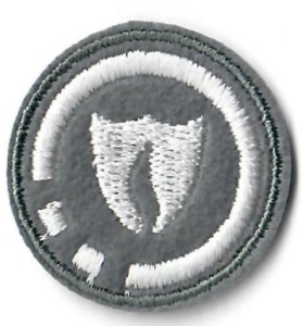 STRAŻNICZKA OGNIA [SPRAWNOŚĆ-Ż]