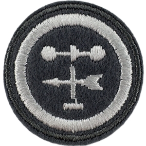 SYNOPTYCZKA  [SPRAWNOŚĆ-Ż]