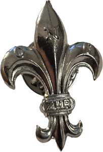 Lilijka ZHR styl. srebrna (pin)