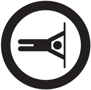KALISTENISTKA [SPRAWNOŚĆ-Ż]