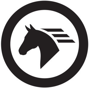 GALOP [SPRAWNOŚĆ-M]