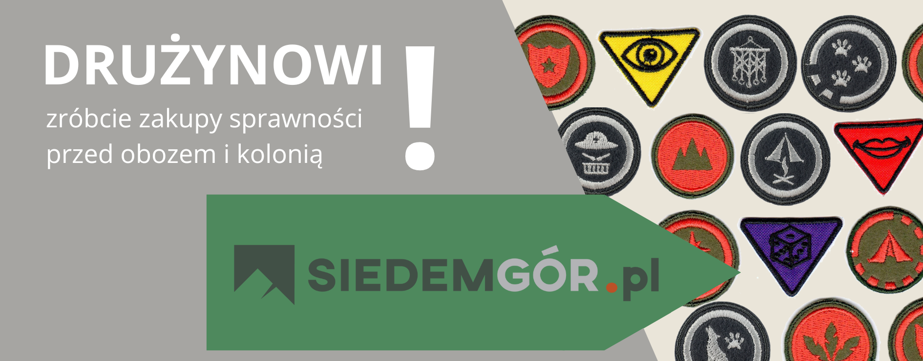 Sprawności-HAL